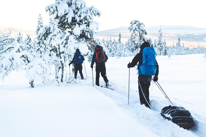 Ski Touring and Winter Fun in Fulufjallet Mountain Plateau - Accommodation at Navardalen Wilderness Lodge