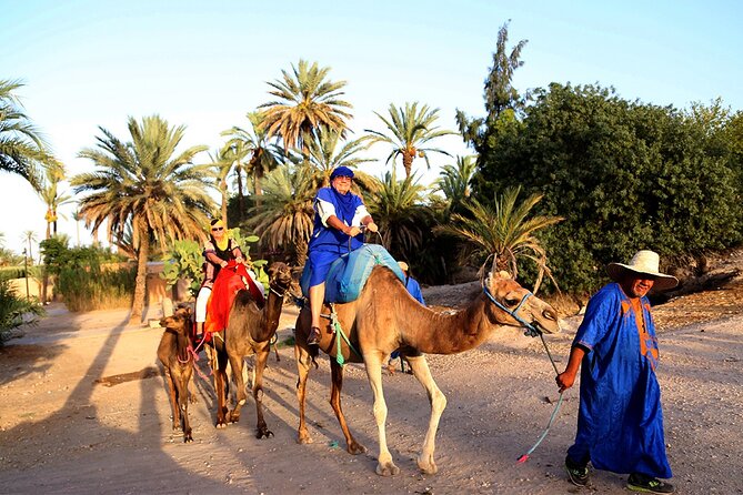 Skip the Line at : Majorelle Garden and Palm Garden. - Exploring Palm Garden
