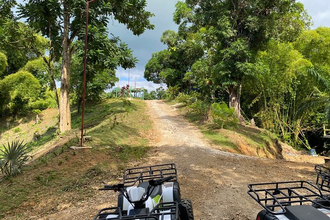 Skip the Line Atv, Horse Back Riding and Zipline From Montegobay - Accessibility and Recommendations