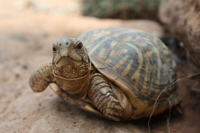 Skip the Line: General Admission to River Bend Nature Center Ticket - Exploring the Nature Center Facilities