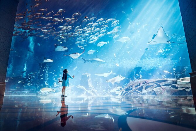 Skip the Line: Lost Chambers Entry at Atlantis The Palm Ticket - Visitor Information and Guidelines