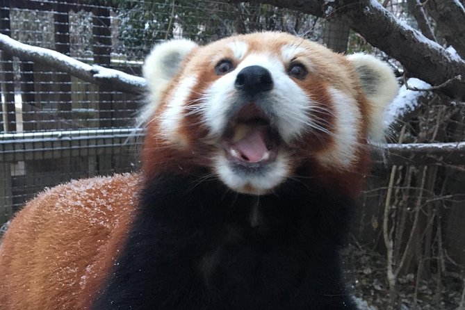 Skip the Line: Miller Park Zoo General Admission Ticket - Special Exhibits Included
