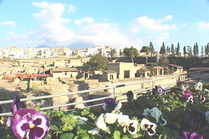 Skip-The-Line Shore Excursion From Naples Cruise Port to Pompeii & Herculaneum - Pickup Information