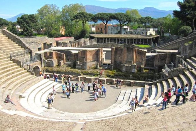 Skip-The-Lines Private Full-Day Ancient Pompeii and Herculaneum Ruins Tour - Preservation in Volcanic Ash