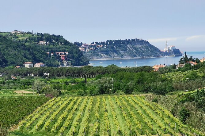 Slovenian Coast Koper, Izola, Piran - Parenzana Electric Biking Tour From Koper - Inclusions