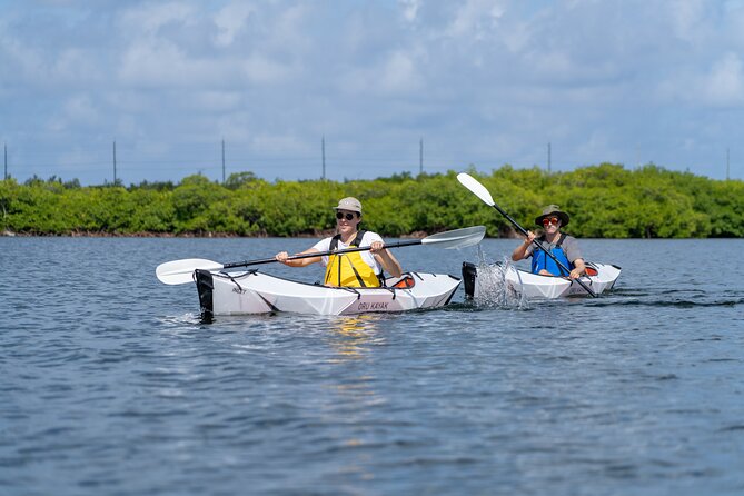 Small Group Glass Bottom Kayak Adventure- Cayman Islands - Pricing and Availability
