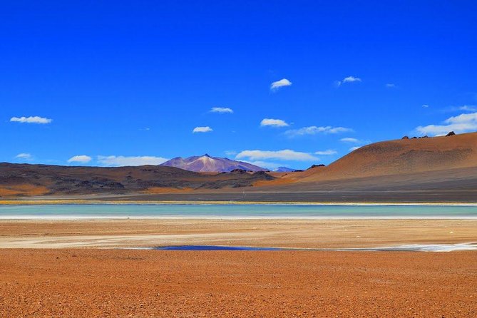 Small-Group Tour to Laguna Cejar, Ojos Del Salar and Laguna Tebinquinche - Whats Included in the Tour