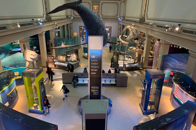 Smithsonian National Museum of Natural History With Guided Tour - Accessibility and Logistics