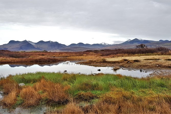 Snaefellsnes Peninsula Private Day Tour - up to 9 Passengers - Pickup Information
