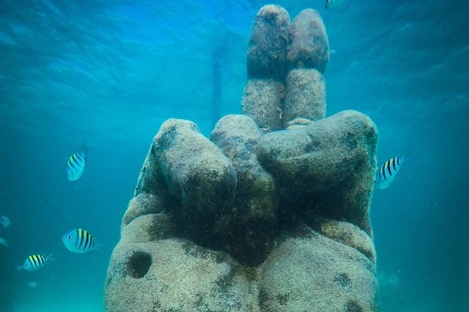 Snorkel and Parasail Cancun - Key Activities Offered