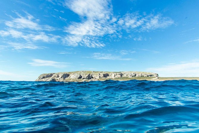 Snorkel in Marietas Island - Highlights and Activities