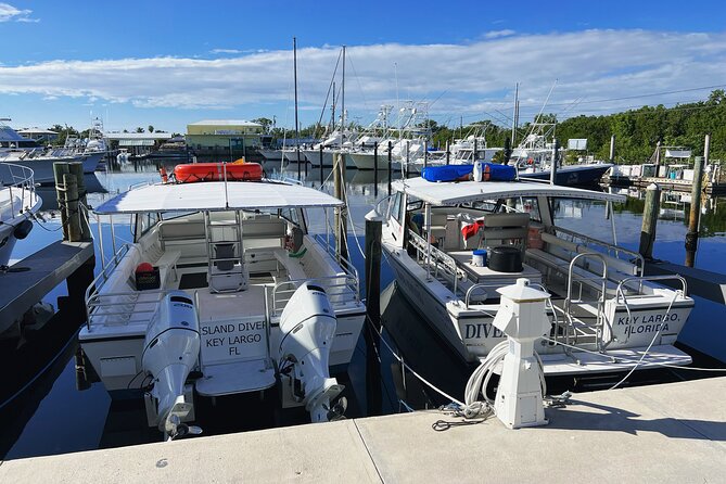 Snorkel Tours to Key Largo Reef for up to 6 People-Includes Gear! - Pricing and Group Size