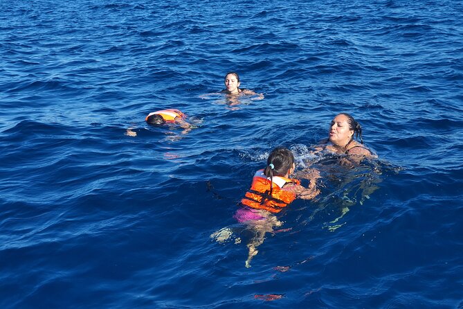 Snorkeling Adventure - Operator and Operational Details