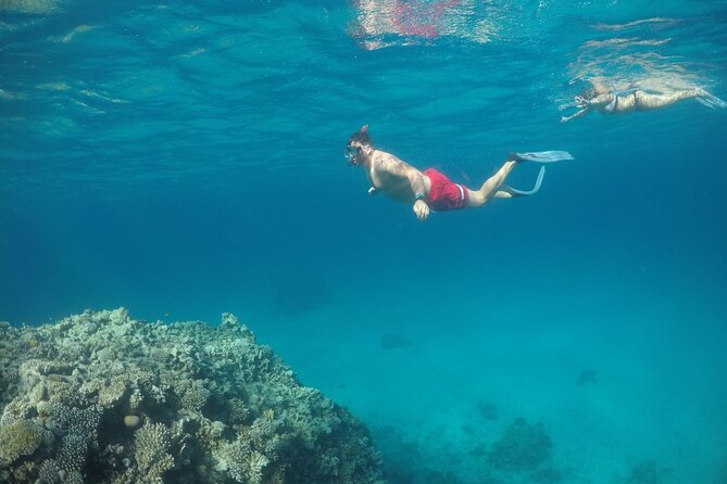 Snorkeling and Diving to Ras Mohamed And White Island by VIP Boat - Pickup and Meeting Details