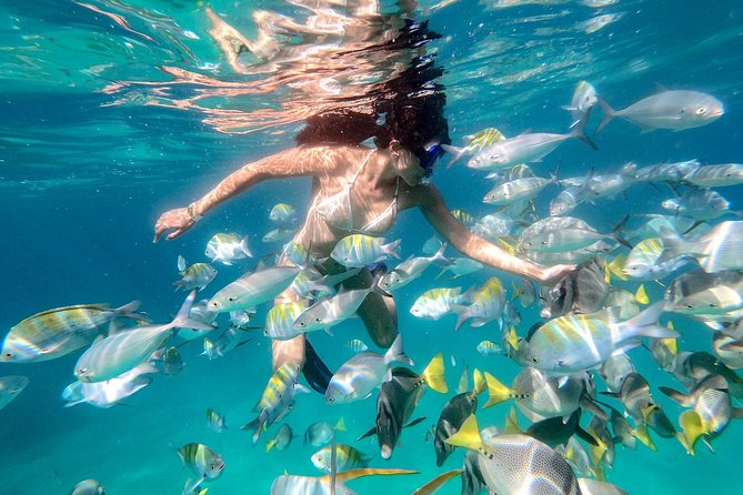 Snorkeling at Pelicans Rock - Health and Safety Information