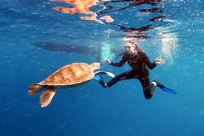 Snorkeling Excursion in the Rayas and Turtles Zone - Included in the Experience