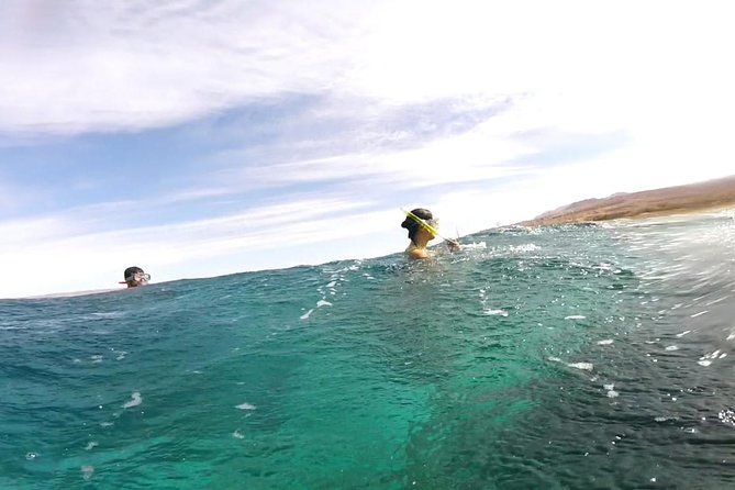 Snorkeling for a Clean Sea Experience - Group Size and Experience