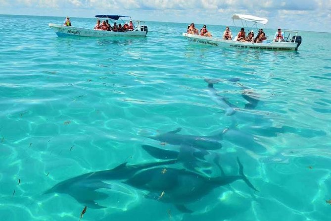 Snorkeling in Sian Kaan - Meeting and Pickup Details