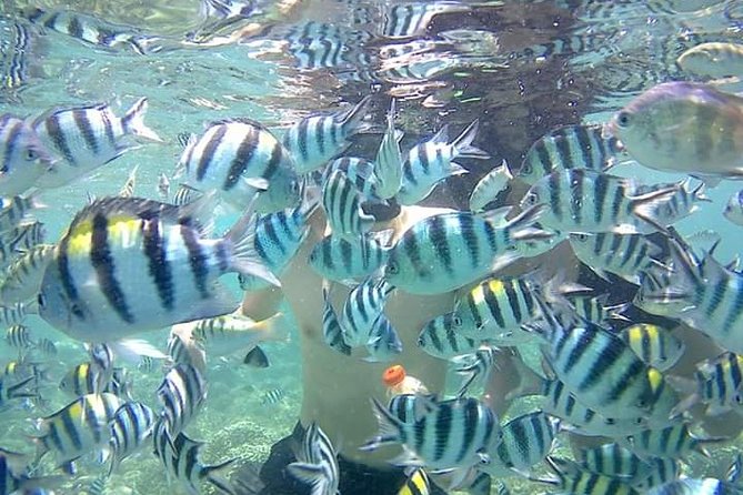 Snorkeling Tour In Gili Nanggu - Snorkeling Experience