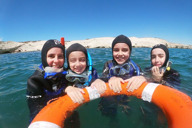 Snorkeling With Sea Lions and Wildlife Adventure - What Youll Explore
