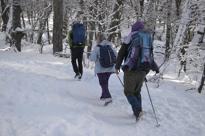 Snow Excursion in Bariloche - Suitable for the Whole Family - Amenities Included in the Tour