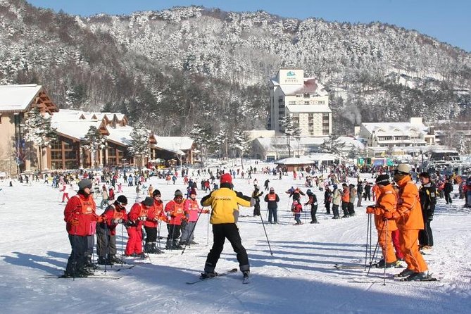 Snow or Ski Day Trip to Yongpyong Resort From Seoul - Departure Details