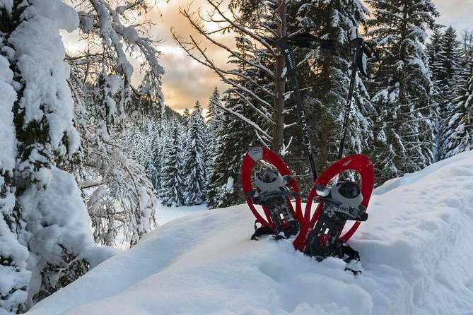 Snowshoe Hike to the Three Peaks of Lavaredo - Activity Overview