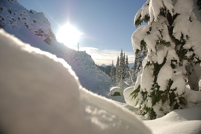 Snowshoe Tours - Tour Logistics