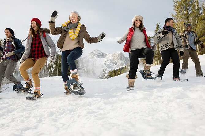 Snowshoeing in Kananaskis - Experience Highlights