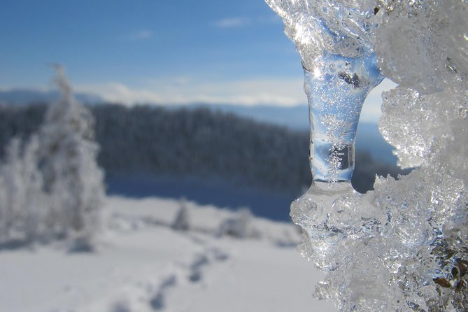 Snowshoeing on Trebevic Mountain From Sarajevo - Inclusions