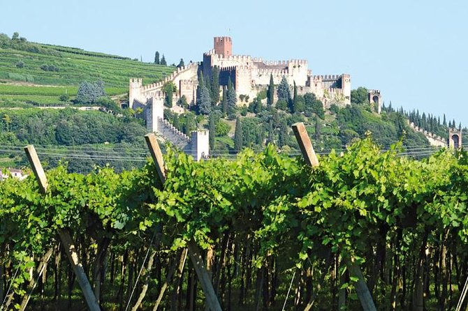 Soave Borgo Wine Day Trip With Light Lunch & 2 Wineries - Inclusions