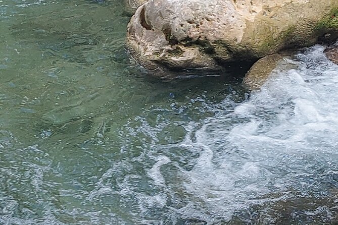 Somerset Fall and Bamboo Rafting Experience in Portland Jamaica - Cancellation and Booking Policy
