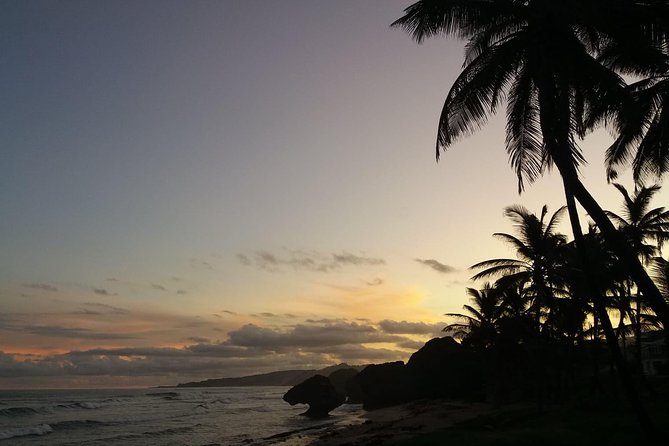 South East Sunrise (Or Later) E-Bike Tour - Guided Experience
