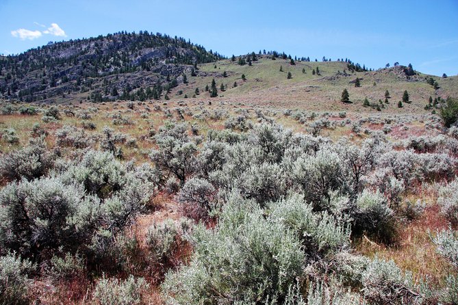 South Okanagan Desert Tour - Pickup Information