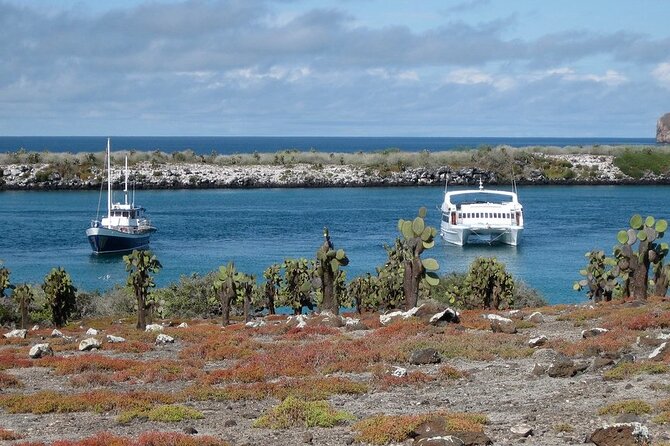 South Plazas and Punta Carrion Day Tour:Land Iguanas & Snorkeling - Inclusions