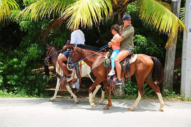 South Side Horseback Riding, Beach Break & Roundway Transfer - Accessibility