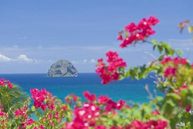 South West: Rum Tasting, Quaint Villages, Beach - Sainte-Luce Rum Factory Tasting