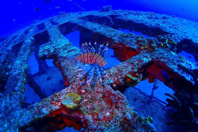 Special!! 2 Tank Wreck & Drift Reef Dives - Group Size and Personalization