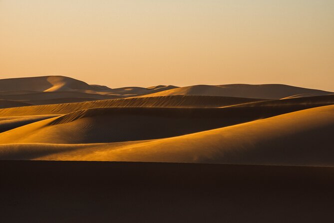 Special Private Arabic Setup With Desert Safari Experience. - Inclusions of the Tour
