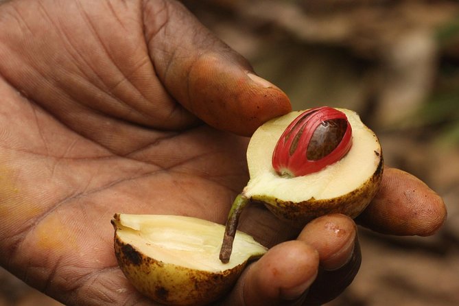 Spice Farm Tour -Half Day - Health and Accessibility