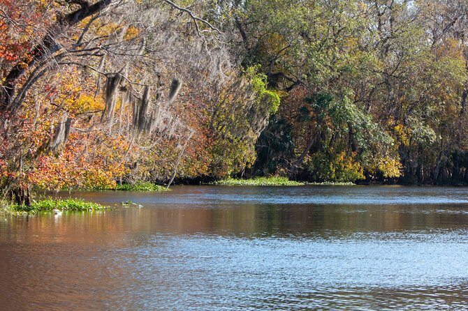St. Johns River Cruise - Blue Spring State Park - Wildlife Encounters