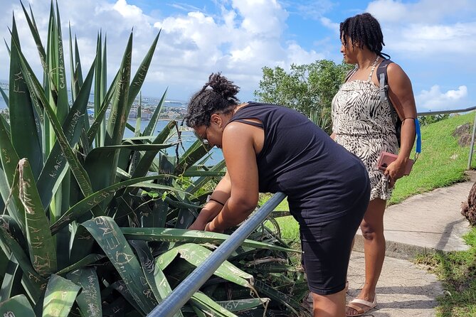 St.Martin/St.Maarten Magical Tour - Inclusions at a Glance