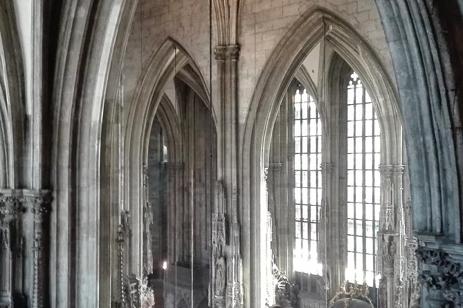 St. Stephens Cathedral - Old Symbol Newly Discovered - Guided Tour Experience