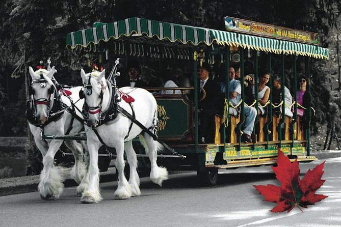 Stanley Park Horse-Drawn Tour - Tour Inclusions
