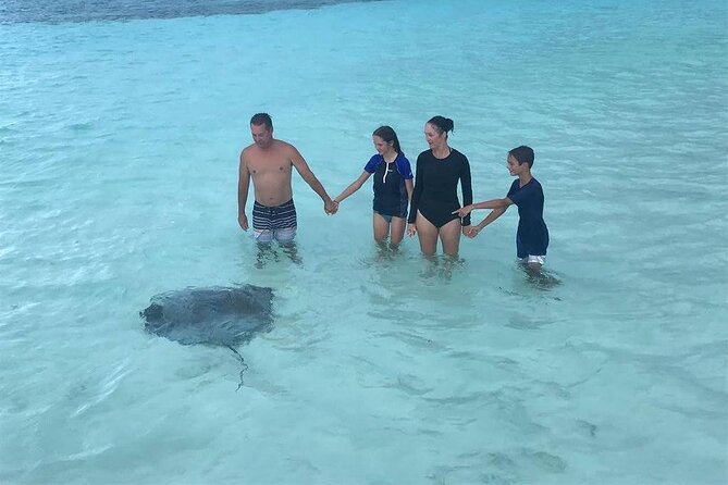 Starfish, Stingrays and the Turtle Bay Experience by Catamaran - Meeting and Cancellation Policy