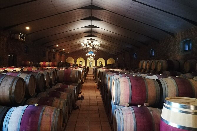 Stellenbosch Vineyard Walk & Wine Tasting - Premium Wine Tastings