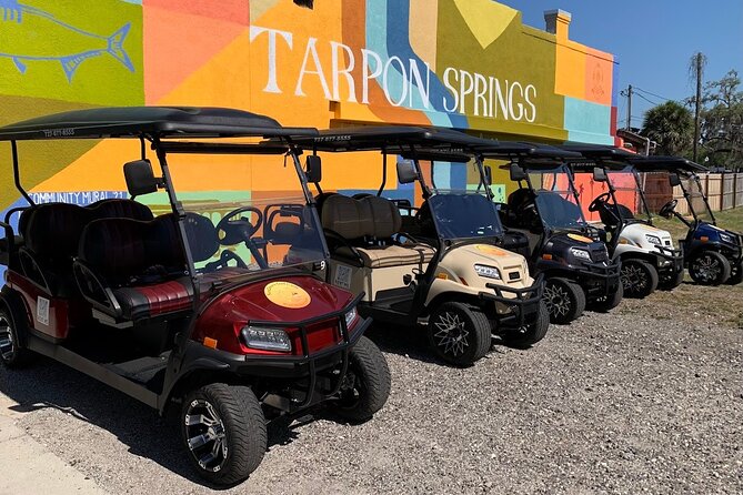 Street Legal Golf Cart 4-Hour Rental in Tarpon Springs - Included Amenities
