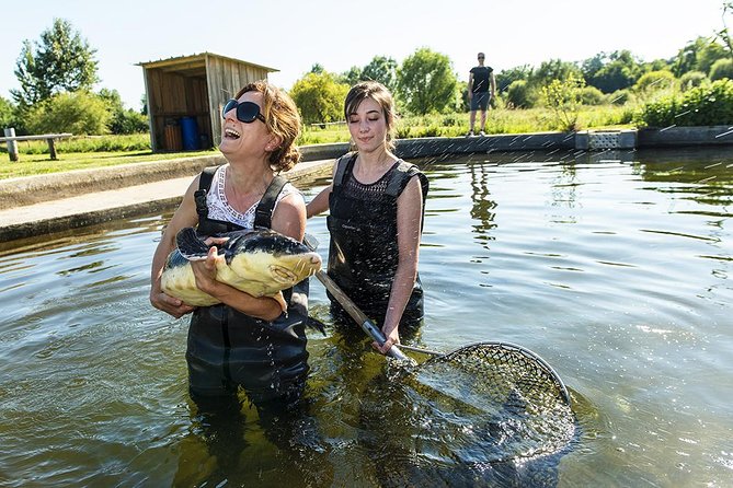 Sturgeon Fish-Farm Visit and Caviar Master Class Tasting in Neuvic - Sturgeon Aquaculture Observation