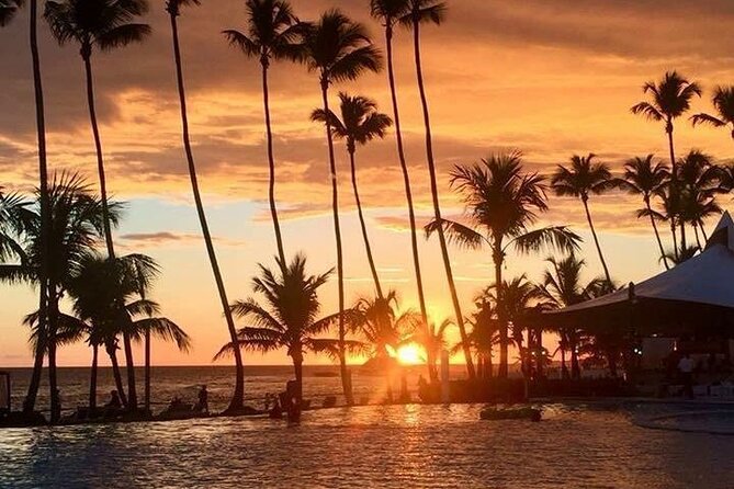 Sunscape Coco Punta Cana - Round Trip Shuttle-Punta Cana Airport - Meeting and Pickup