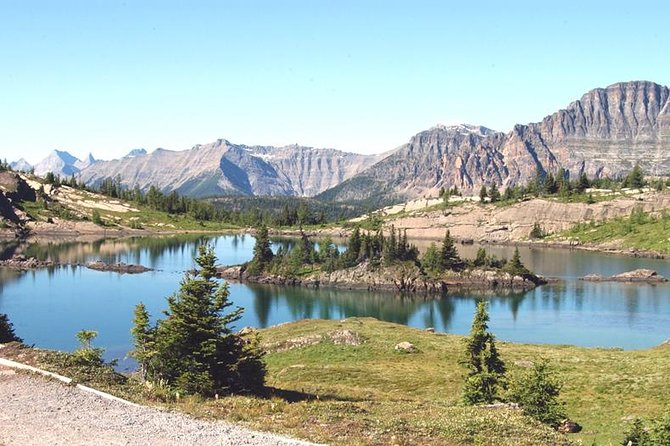 Sunshine Meadows Vistas - Guided Hike (Easy) - Inclusions